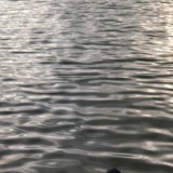 Түркістан облысында өзенге батқан сәбидің денесі табылды