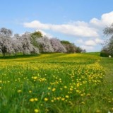 Қазақстанда мамырда 11 күн демалыс болады