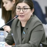 Бір итке 74 мың, ал балаға 17 мың тг жәрдемақы беріп жатырмыз - Мәжіліс депутаты