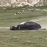 Айрақтыда ереже бұзған жүргізушіге айыппұл салынып, көлік айыптұрағына қойылды