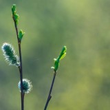 Қазақстанның 14 облысы мен Алматыда дауылды ескерту жарияланды