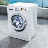 Семейде бала мысықты кір жуатын машинаға салып өлтірген. Анасы айыппұл төлейді