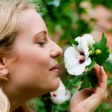 Гүл иіскеймін деп уланып қалмаңыз: флористер сізге айтпай құпия дерек мәлім болды (ВИДЕО)