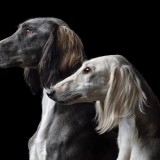 Елімізде ерекше мереке пайда болмақ