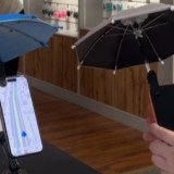 Күннен қорғайтын қолшатыр жүргізушілерді айыппұлдан құтқара ала ма?