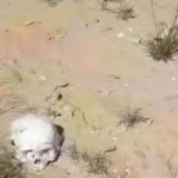 Атыраудағы зираттардың бірінде адам сүйегі шашылып жатыр