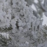 Алдағы күндері қау жауып, үсік жүреді