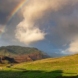 Жаңбыр және найзағай: 29 сәуірге арналған ауа райы болжамы