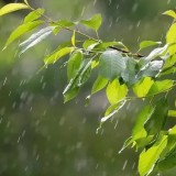 3 мамырға арналған ауа райы болжамы