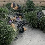 Маңғыстауда есірткі зертханасын ұйымдастырған екі адам қамауға алынды