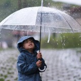 7 мамырға ауа райы болжамы жарияланды Жауын