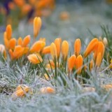 Дауыл: 12 мамырда барлық өңірде ескерту жарияланды