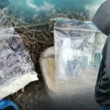 Интернеттегі «оңай табыстың» артында не тұр: ІІМ жастарға үндеу жасады