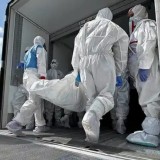 Украинаға 528 қаза тапқан әскери қызметкердің мәйіті қайтарылды