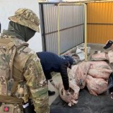 Атырауда 4 тоннадан астам заңсыз балық өнімі тәркіленді