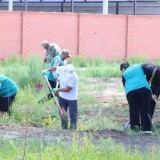 «Таза Қазақстан»: Сырдария ауданында экологиялық шара өтті
