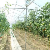 Қызылордада испандық «Roca Group» зауытының іргетасы қаланды