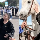 Төлегеннің ақбозатындай: Ұлытаулықтар Меруерт Өтекешоваға сәйгүлік сыйлады