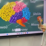 Маңғыстаулық психологтар «Жастар EQ 3.0 & Mental Health» жобасы аясында  «Нейропсихология» модулін сәтті аяқтады