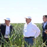 Қызылордада техникалық қарасора өңдейтін агрокластер салынуда