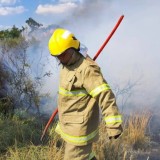 Қазақстанда бір аптада 43 орман өрті тіркелді
