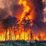 "Семей орманы": өрт сөндіру жалғасып жатыр