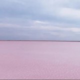 Көбейтұз көлі ерекше қорғалатын табиғи аумақ болады