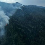 Бүгін найзағайдан тұтанған 19 орман өрті сөндірілді