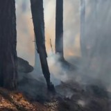 «Бурабай» ұлттық паркінде орман өртенді