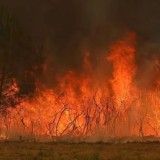 Еуропадағы алапат өрт: Франция мен Испаниядан 350 мың адам көшірілді