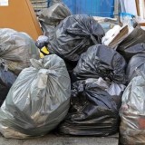 Екібастұзда қоқыс алаңынан әйелдің бөлшектелген денесі табылды