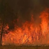 Францияда 162 адам қасақана өрт қою күдігімен ұсталды