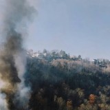 Қазақстанда бір тәулікте 13 орман өрті тіркелді
