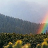 5 тамызға ауа райы болжамы жарияланды