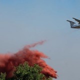 Орман өрттеріне байланысты 400-ден астам адам ұсталды