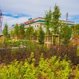 «Артем» базары маңындағы аумақ абаттандырылып, жаңа қоғамдық кеңістікке айналды