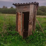 Түркістан облысында әйел жаңа туған сәбиін әжетхана шұңқырына тастап, көміп тастаған