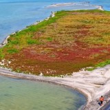 Каспий тартылып жатыр: теңізде жаңа арал пайда болды