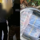 Павлодарда алма ағашының түбінен 24 млн теңге жасырылған ыдыс табылды