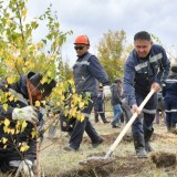 Қазақмыс жұмыскерлердің бастамасына қолдау көрсетті: Қарағайлыда 400 түп ағаш отырғызылды