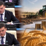 "Ауыл" фракциясы Baqylauda жүйесін фермерлер үшін 2028 жылға дейін кейінге қалдыруды ұсынды