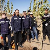 Балқаштың орталық саябағында Қазақмыстың қатысуымен жаңа жасыл аймақ құрылуда