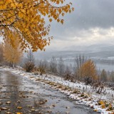 Қар жауып, көктайғақ болады: 17 қазанға арналған ауа райы болжамы