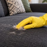 Диванға жабысқан жүнді жинаудың оңай тәсілі