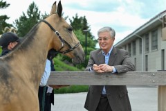 Ақниет пен Бөрте: Тоқаев жаңа туған құлындарға ат қойды