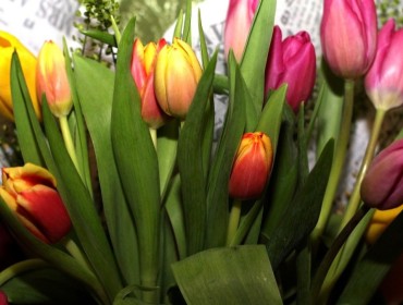 8 наурыз қарсаңында қазақстандықтарға ескерту жасалды