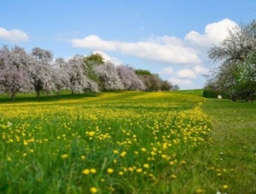 Қазақстанда мамырда 11 күн демалыс болады