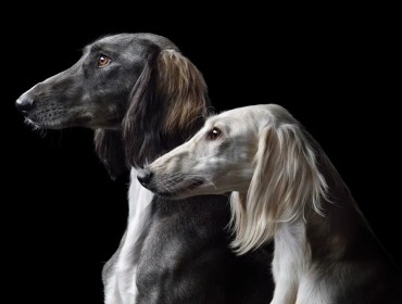 Елімізде ерекше мереке пайда болмақ