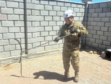 Алматы облысында тұрғын үйлердің ауласынан жыландар табылды