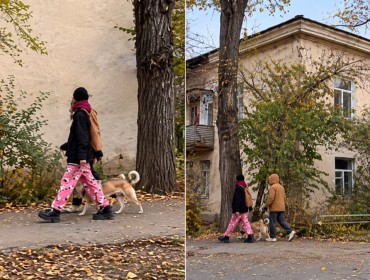 Алматыда түлкімен серуендеген адам видеоға түсіп қалды